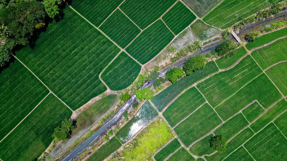 Fields from a bird's eye view